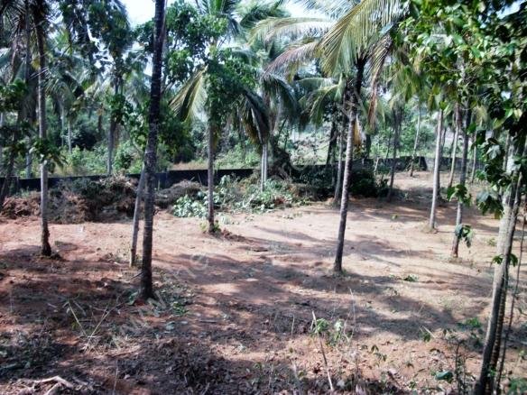 Land for sale at Kochi Kalamassery