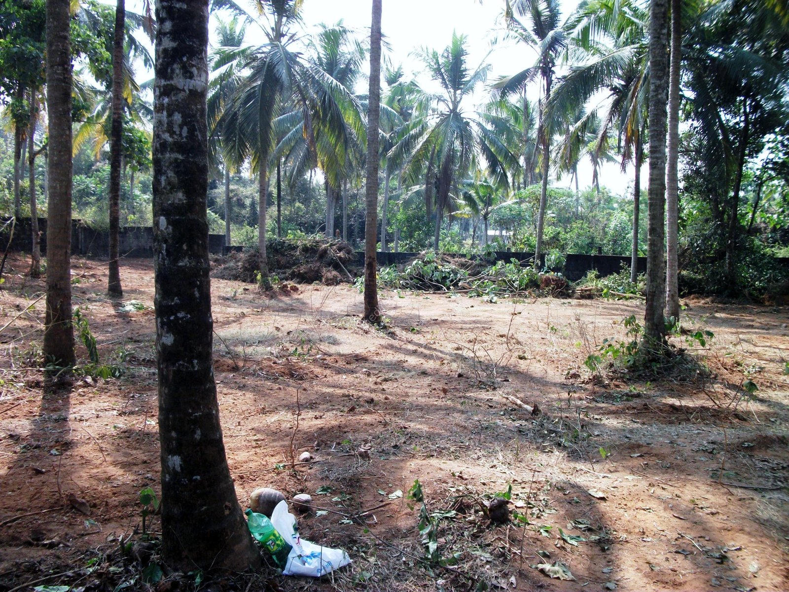 KOMBAMKULAM-After cleaning 030