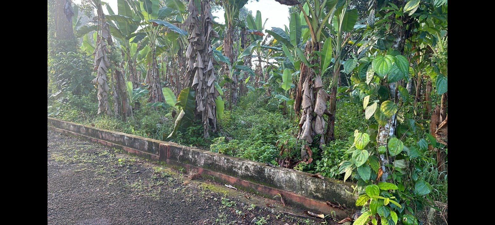 Screenshot_2025-08-17-10-30-54-08_6012fa4d4ddec268fc5c7112cbb265e7 (1)