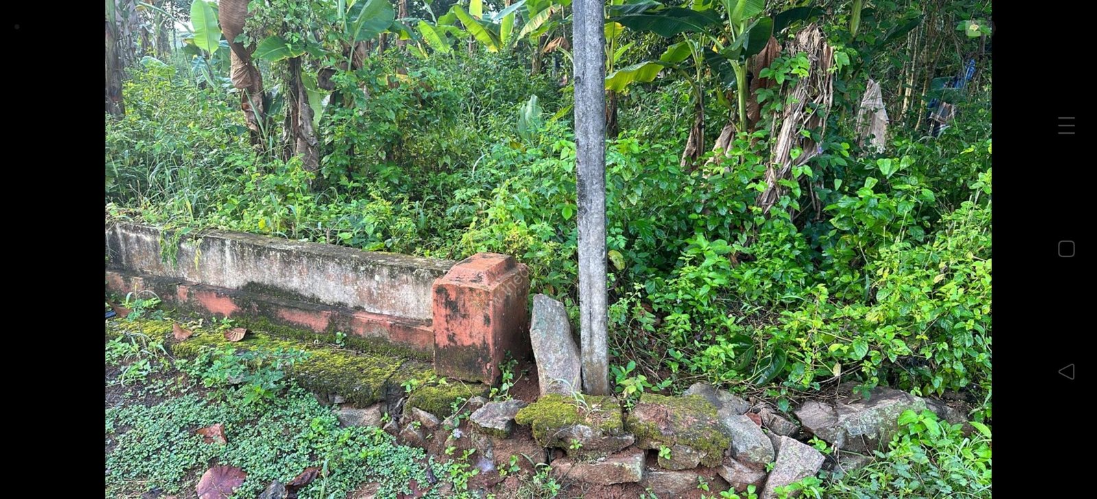 Screenshot_2025-08-17-10-30-59-85_6012fa4d4ddec268fc5c7112cbb265e7 Plot for Sale in Chengaroor Thiruvalla