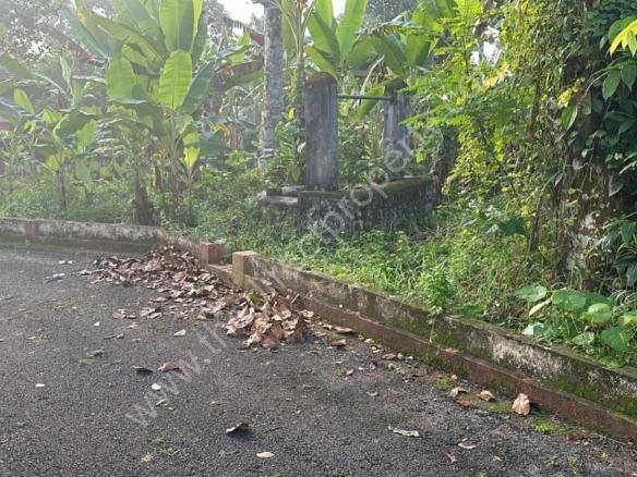 Plot for Sale in Chengaroor Thiruvalla