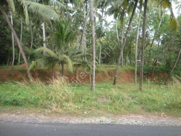 Land for sale in Varkala