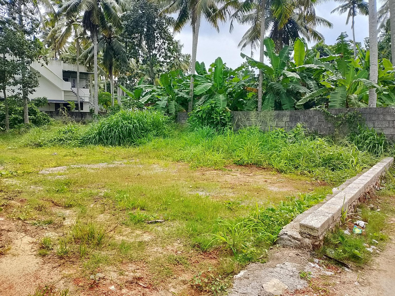 WhatsApp Image 2025-07-31 at 5.17.17 PM (1)