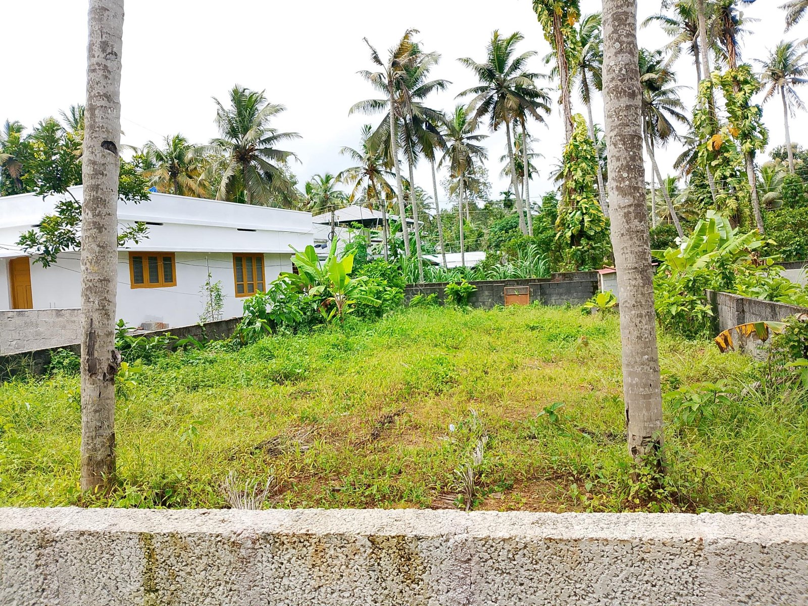 WhatsApp Image 2025-07-31 at 5.17.18 PM (1)