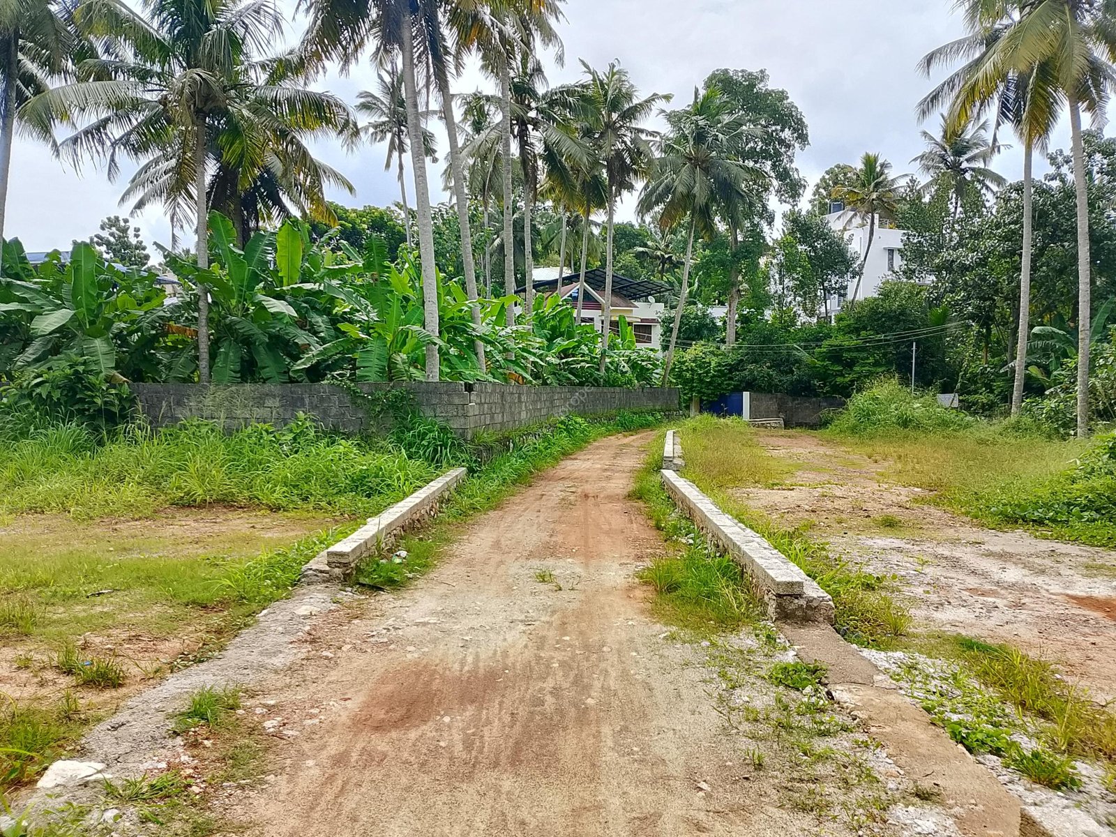 WhatsApp Image 2025-07-31 at 5.17.18 PM (2)