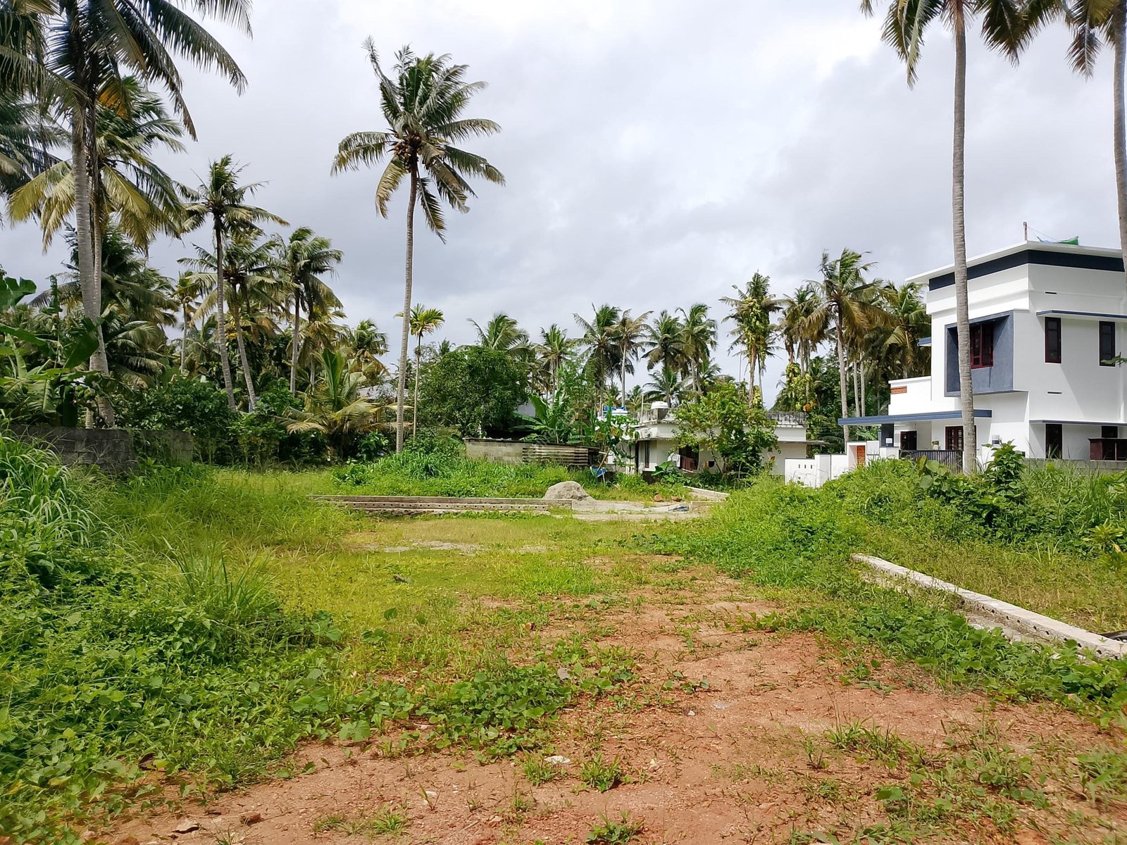 WhatsApp Image 2025-07-31 at 5.17.18 PM