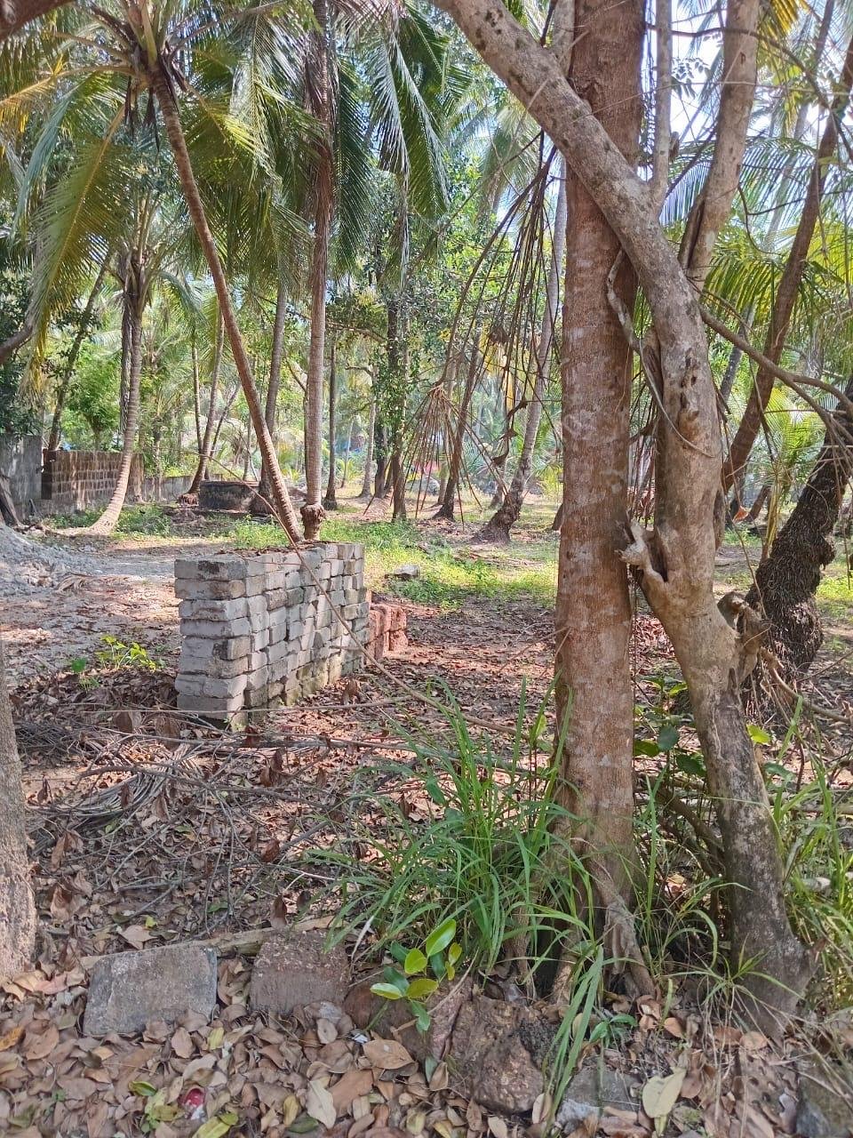 a8450492-133e-4904-aea3-176d42146bf4