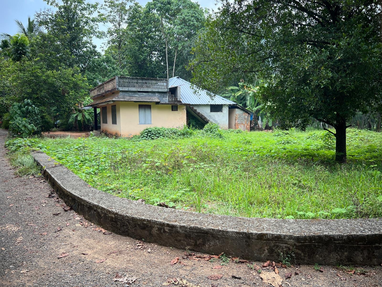 ba3af461-6a6d-484c-8893-ac6cd675e584