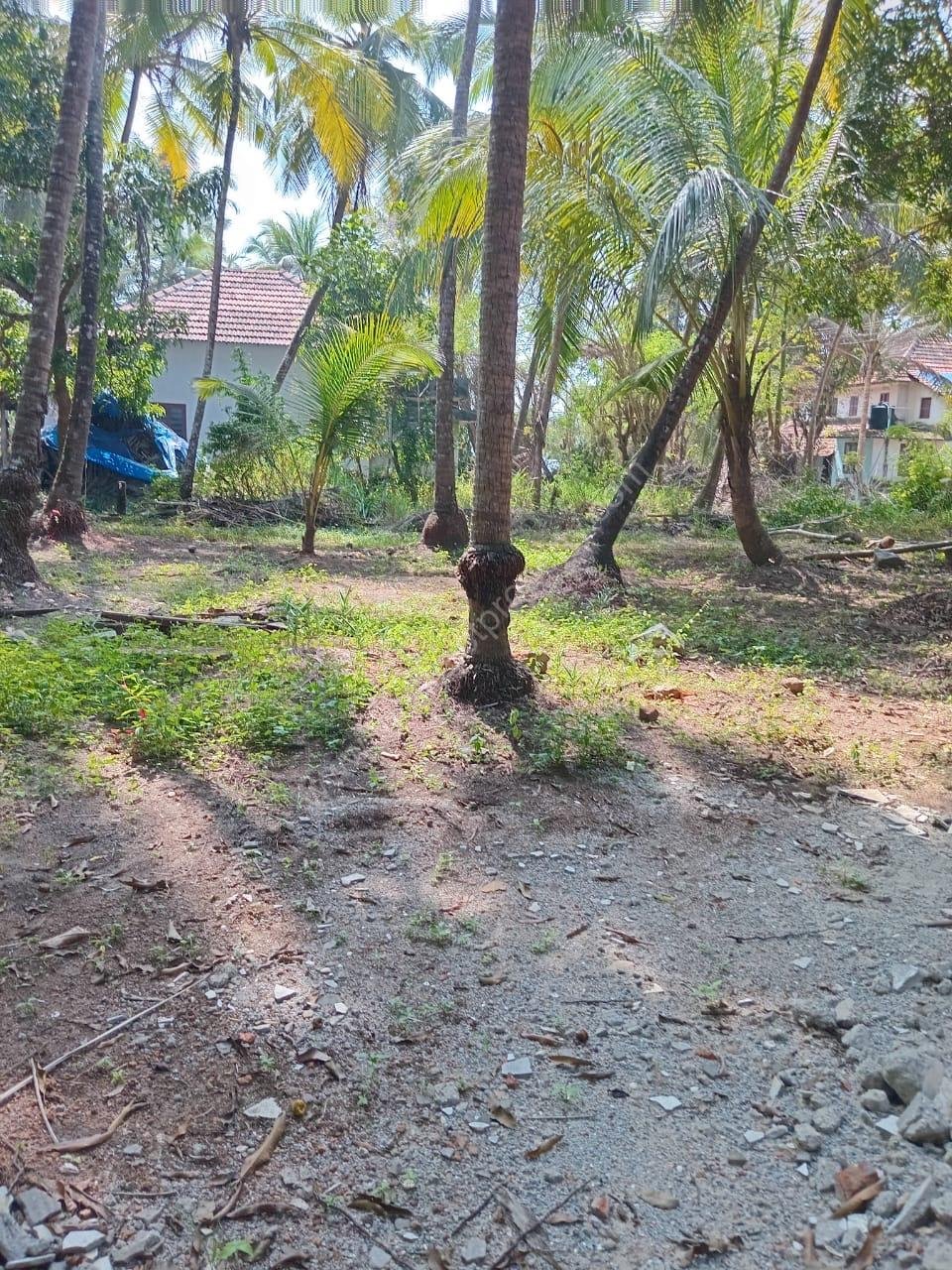 ff86589b-9e03-4acc-9012-5d989d0ff779