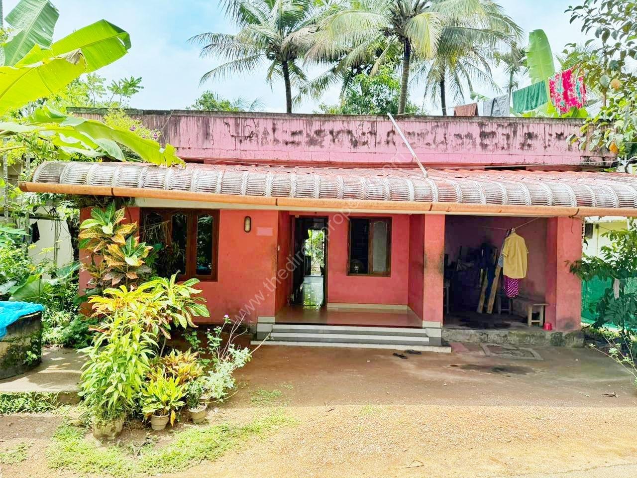 1000112098 Changanacherry