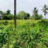 Commerical Land For sale in Choondal