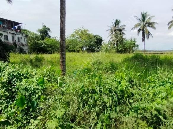 Commerical Land For sale in Choondal