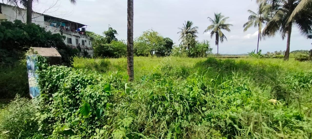 Commerical Land For sale in Choondal