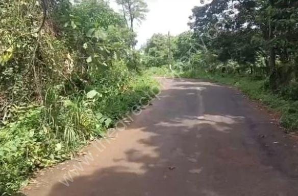 Plot in Keralassery for sale
