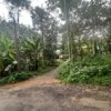 Residential land for sale in Enathu town