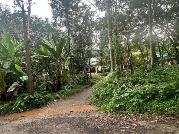 Residential land for sale in Enathu town