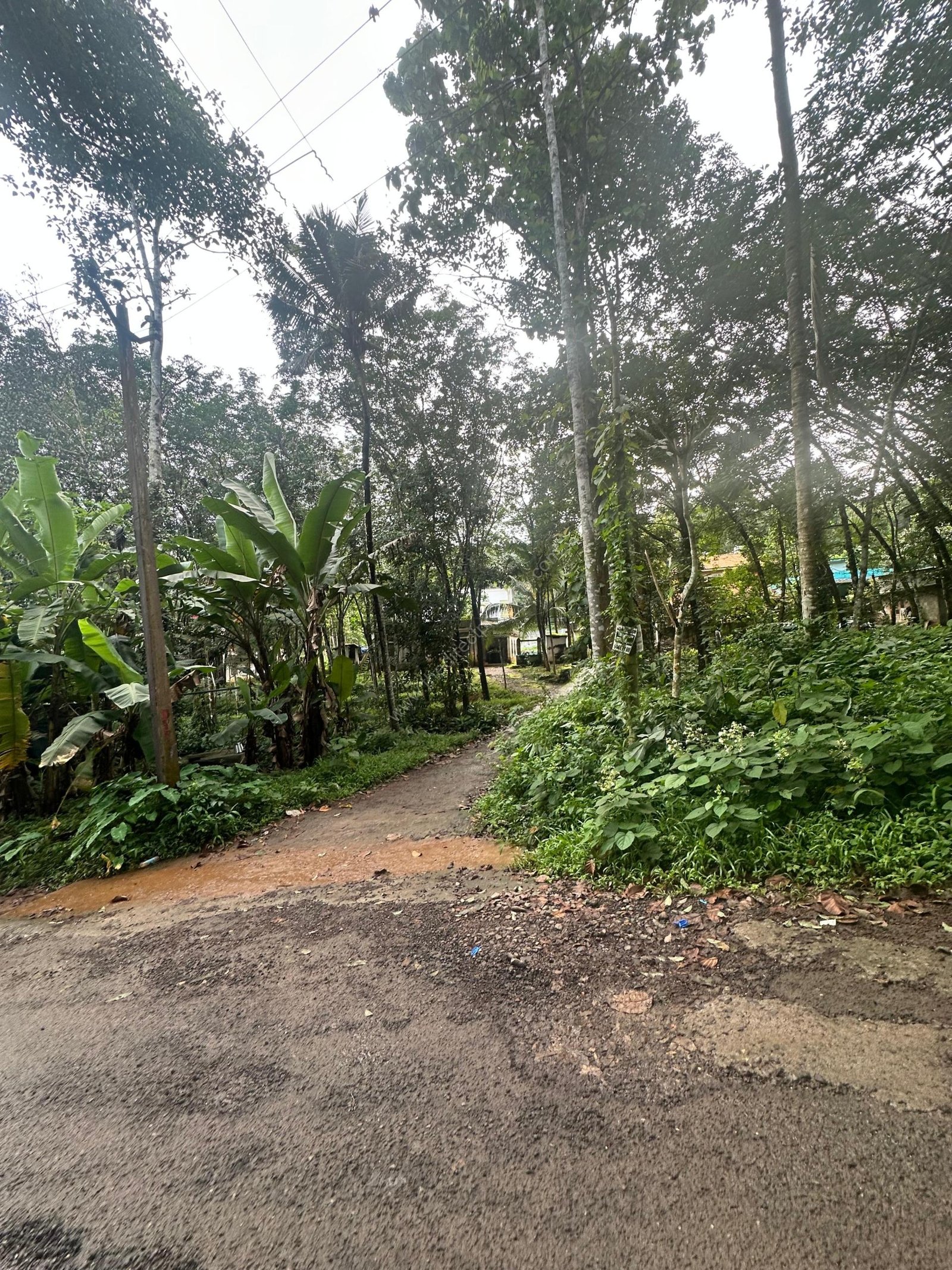 695ac1b9-e8f6-4ca1-a7b0-cf6e1b182e2a Residential land for sale in Enathu town