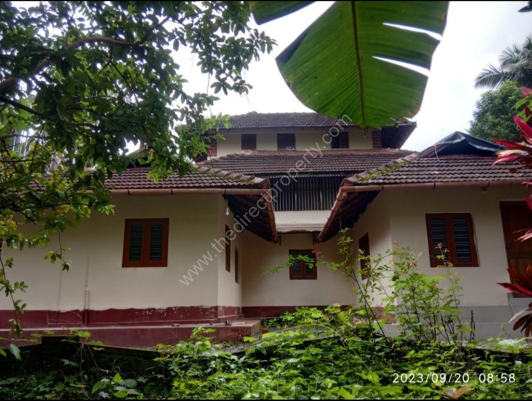 7000043e-19e5-4cd2-b61b-8f42a4e87673-1_all_1733