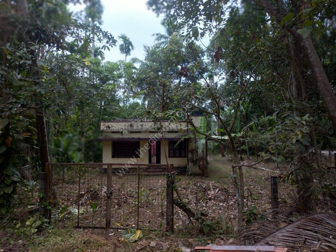 IMG-20250303-WA0085 Waterfront property for sale in Vaikom Kumurakom