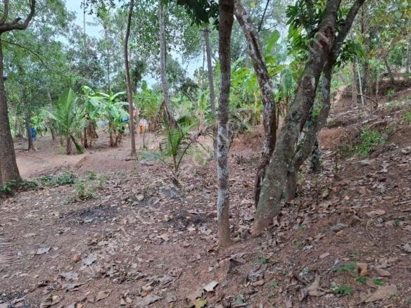 Residential plot for sale near Attingal town