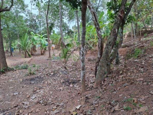 Residential plot for sale near Attingal town