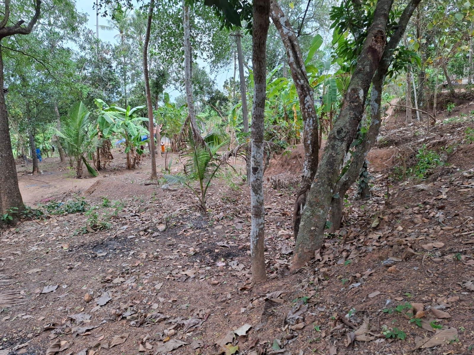 Residential plot for sale near Attingal town