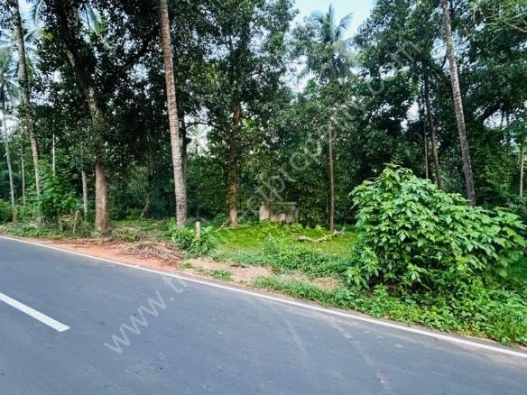 Plots for sale in Calicut Kakkavayal Puthupaddy