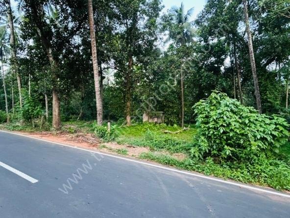Plots for sale in Calicut Kakkavayal Puthupaddy
