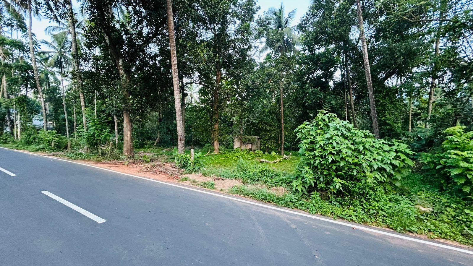 IMG-20250812-WA0038 Plots for sale in Calicut Kakkavayal Puthupaddy