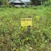 Land for sale in Kanjany-Peringttukara Road