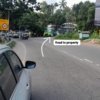 Land for sale at Kilimanoor