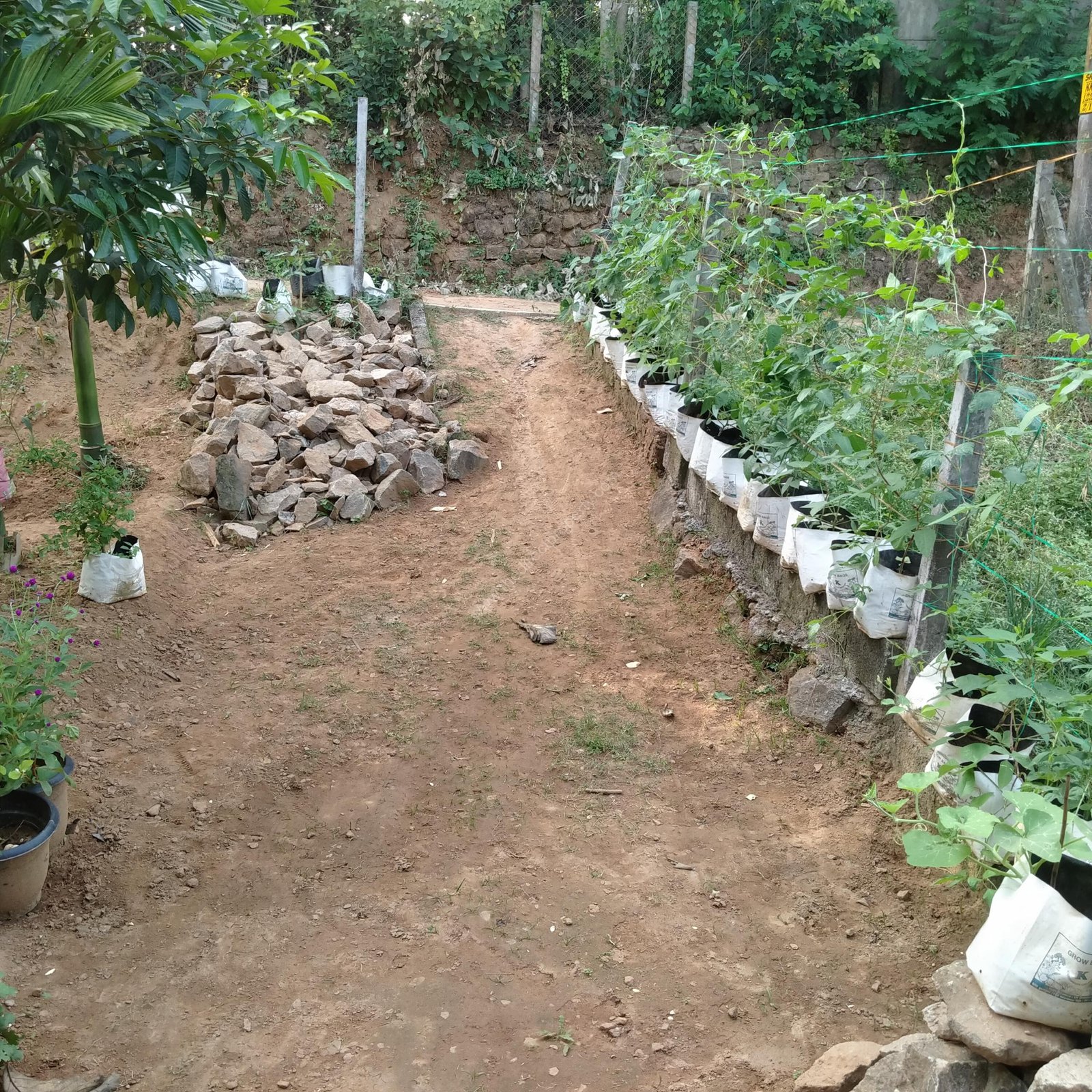 IMG20221221161002954735