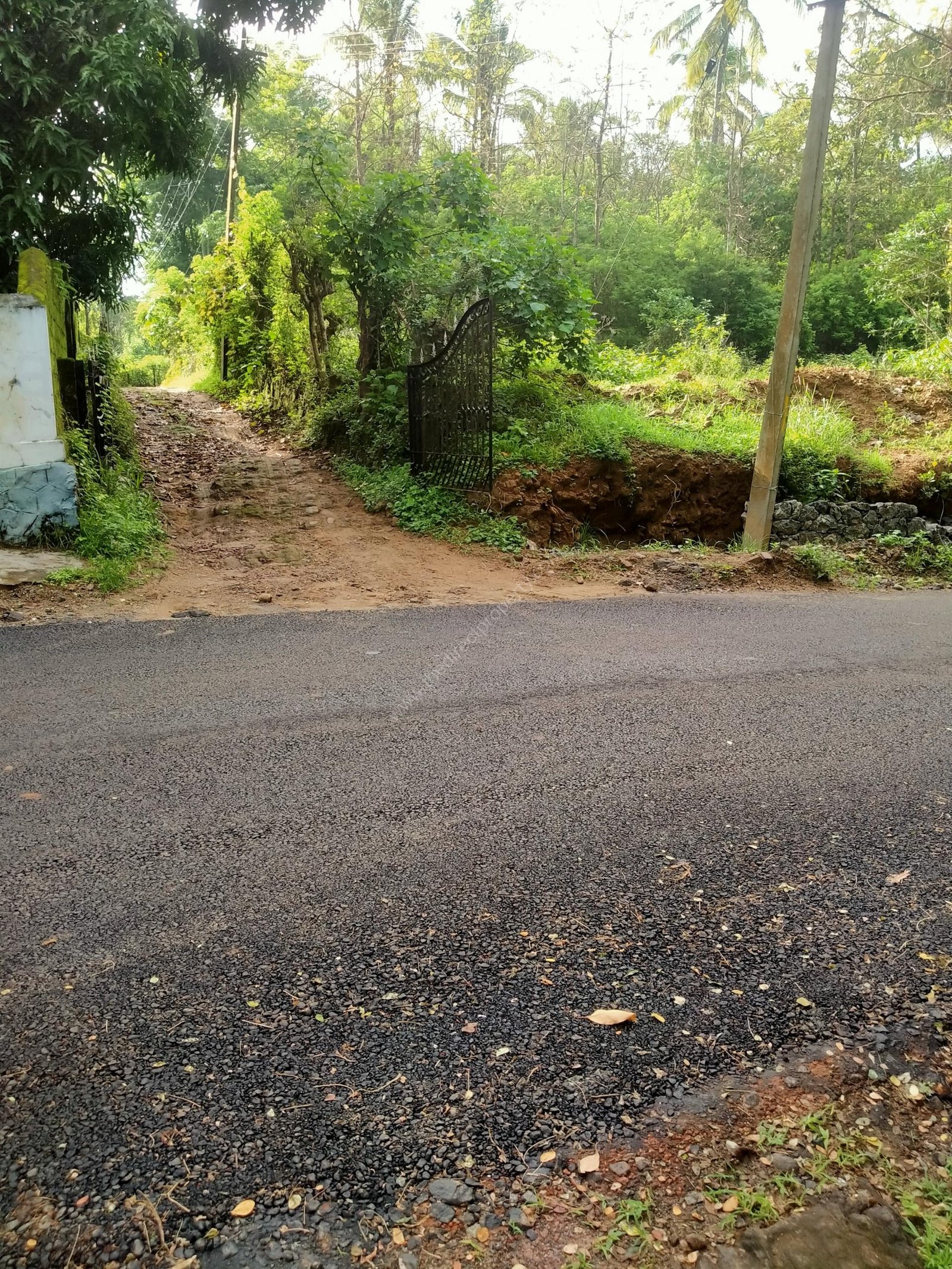 IMG20240605080547953918