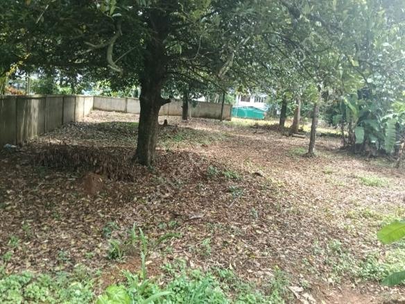 Residential Land for sale in Thrissur