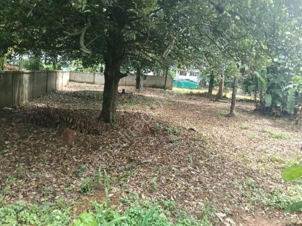 Residential Land for sale in Thrissur