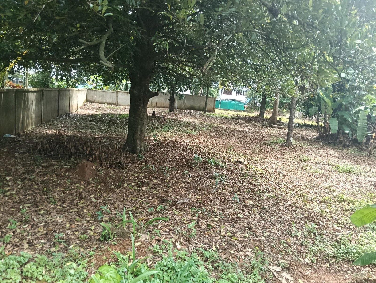 Residential Land for sale in Thrissur