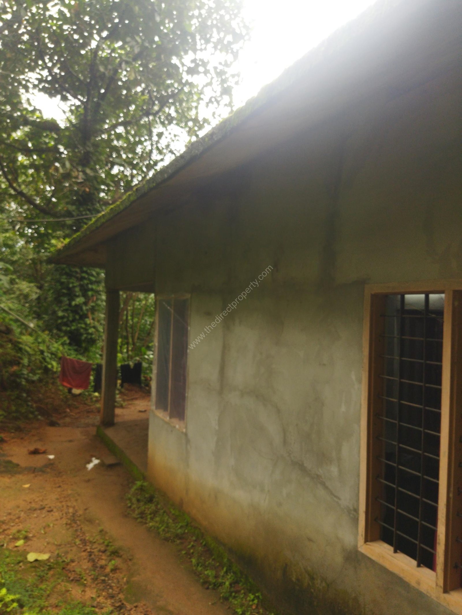 IMG_20250628_145502_1