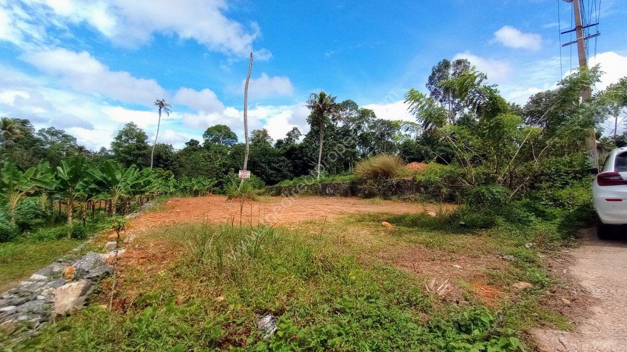 IMG_20250917_115240_835