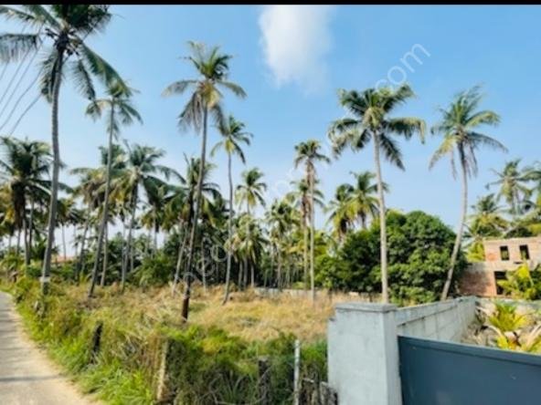 Plots for sale in Guruvayoor