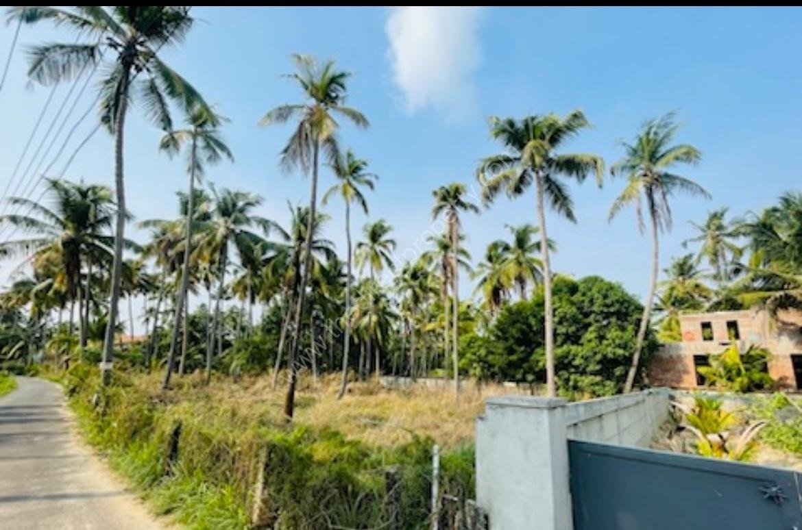 Plots for sale in Guruvayoor
