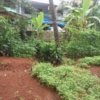 Land for sale Near Amala Medical College at Thrissur