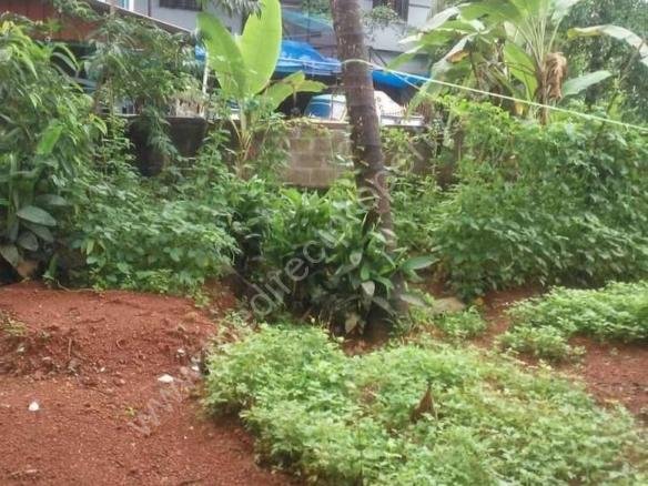 Land for sale Near Amala Medical College at Thrissur