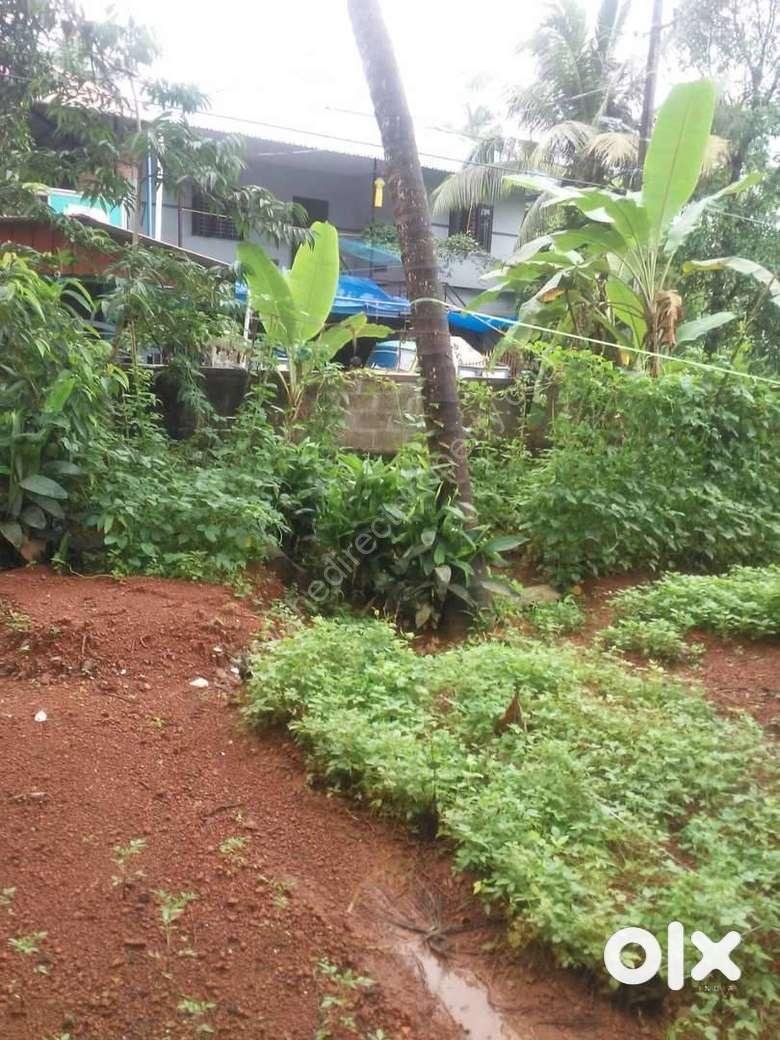 Land for sale-Amala Land for sale Near Amala Medical College at Thrissur