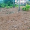 Plot for sale in Venpalavattam