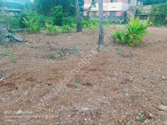 Plot for sale in Venpalavattam
