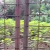 Residential plot for sale in Chentrappinni Thrissur