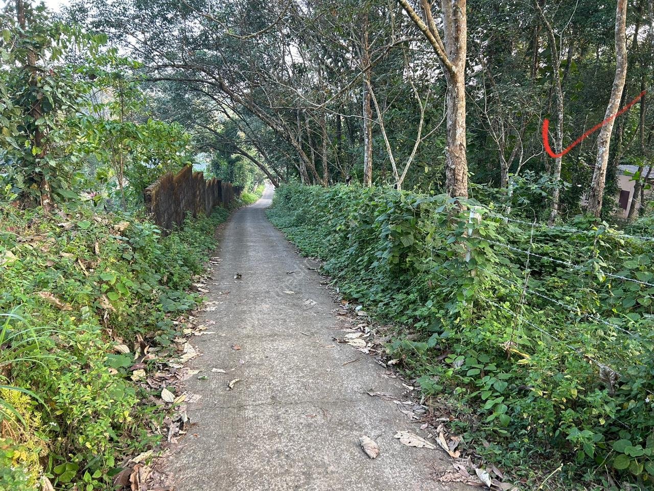 WhatsApp Image 2025-06-17 at 07.02.58_11181fc0