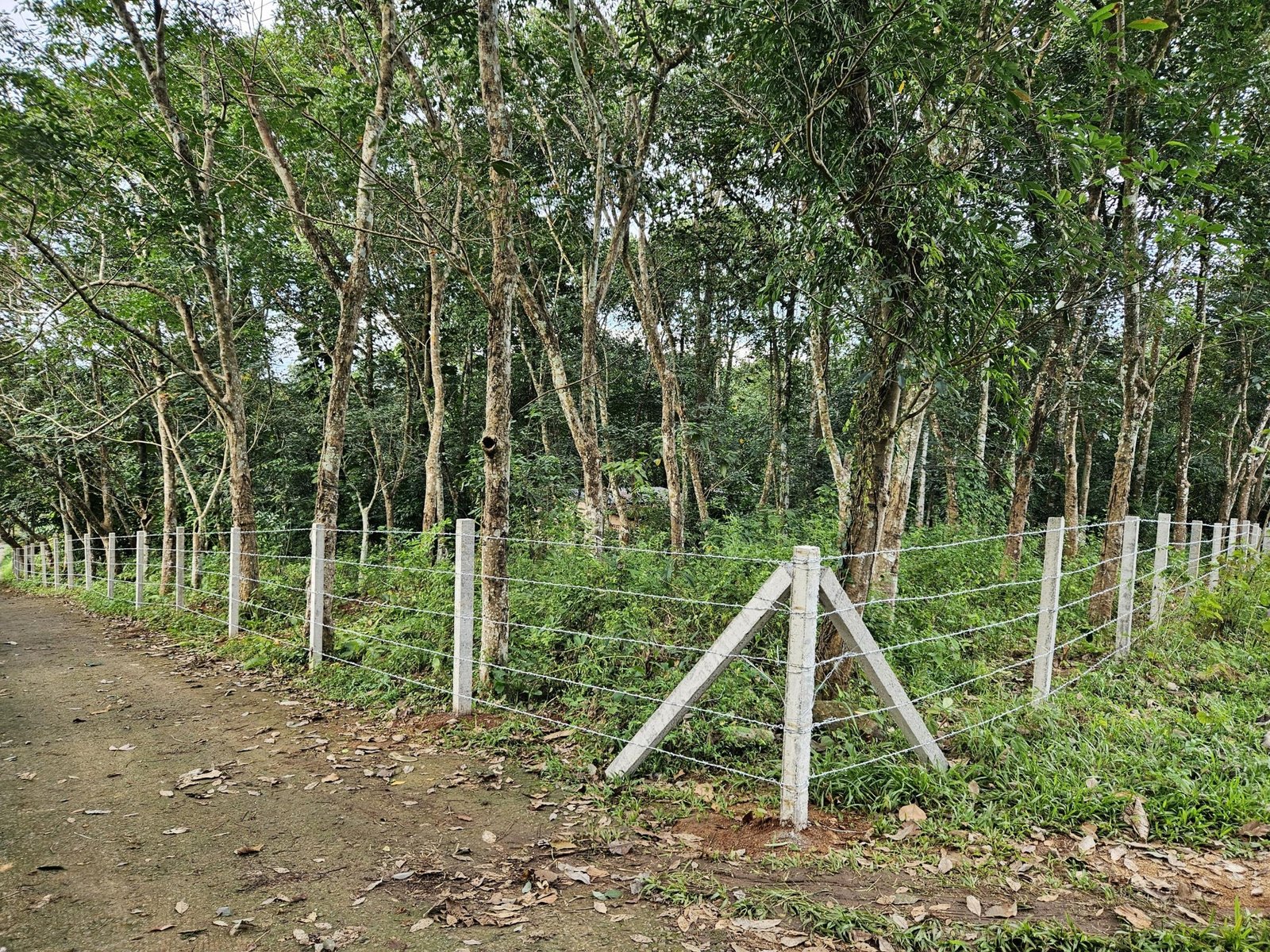 WhatsApp Image 2025-06-17 at 09.28.59_a64ac9a7