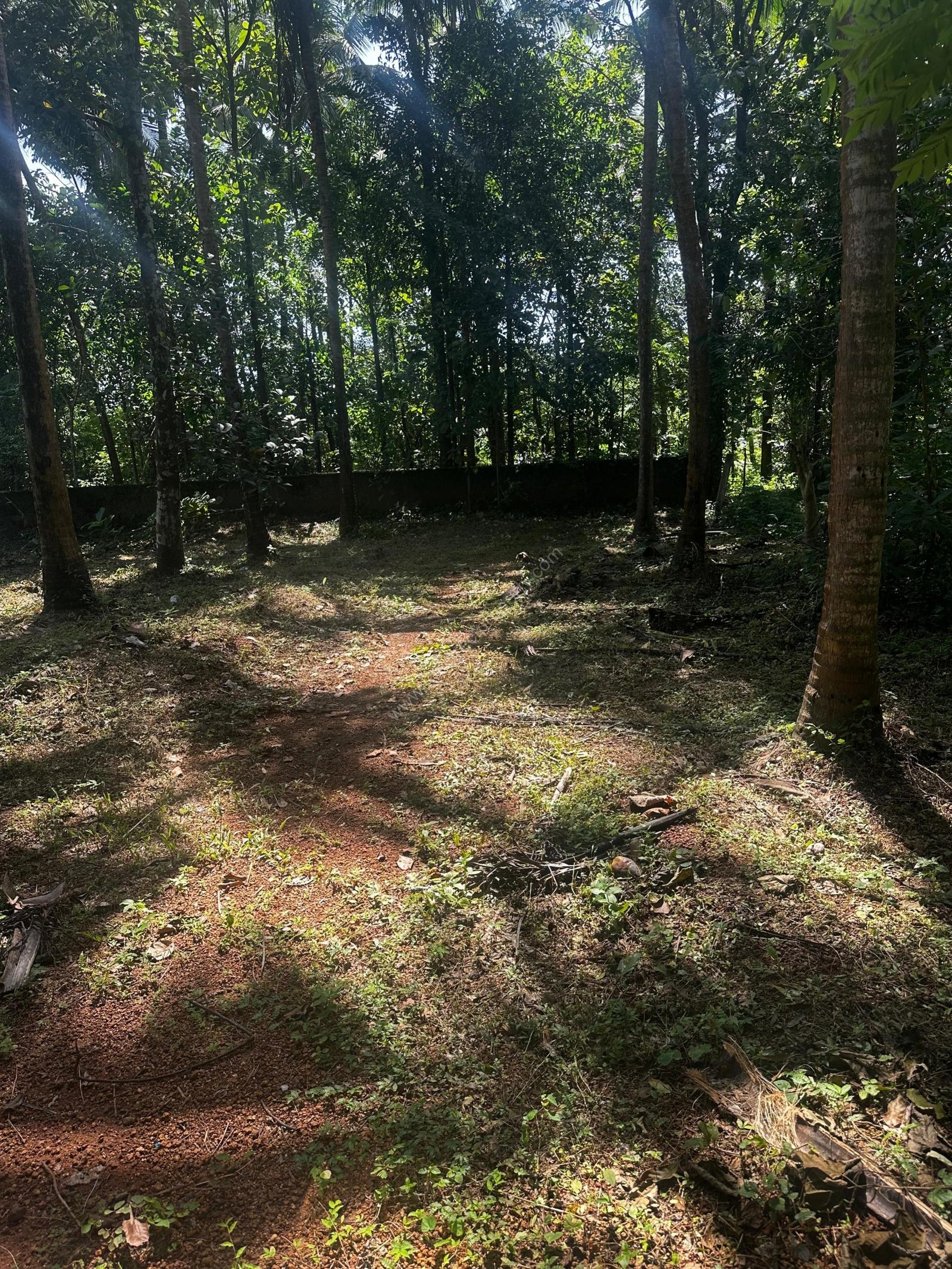 WhatsApp Image 2025-09-24 at 19.41.13_a9c38679