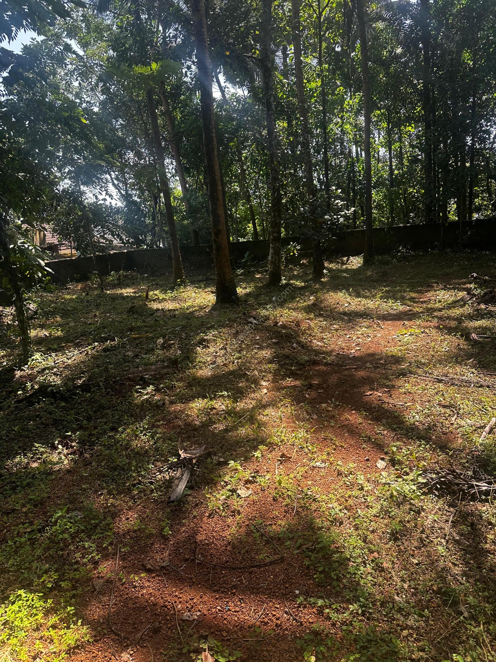 WhatsApp Image 2025-09-24 at 19.41.13_c13f2060